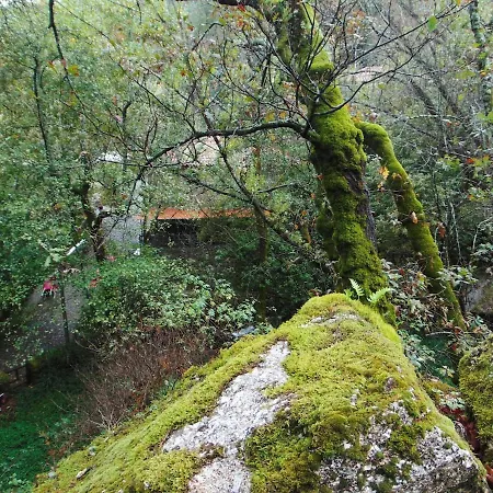 Holiday home Casa Do Sobrado Fafe