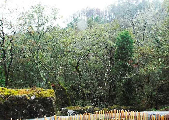 Vakantiehuis Casa Do Sobrado Fafe