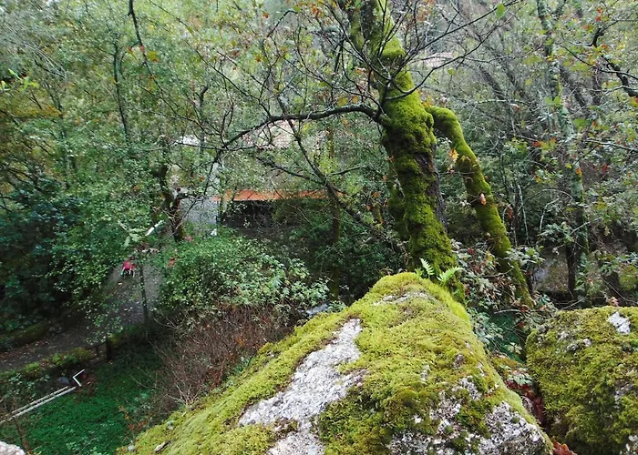 Feriehus Casa Do Sobrado Fafe